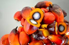 Agri Processing Ghana Limited - Tema