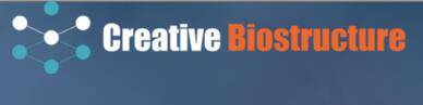 Creative Biostructure - Akosombo, Ghana