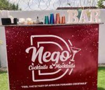 D Nego Bartending Service