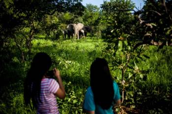 Grassroot Tours Ghana - Tamale