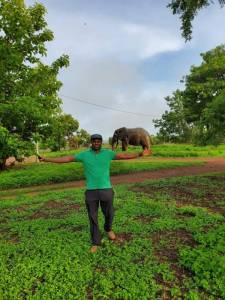 Mole Boy Travel & Safe Guide Tours Ghana - Tamale