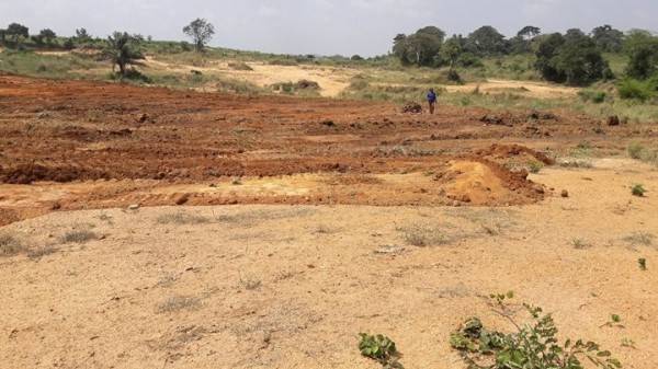 Regnant Properties & Construction - Kasoa, Ghana