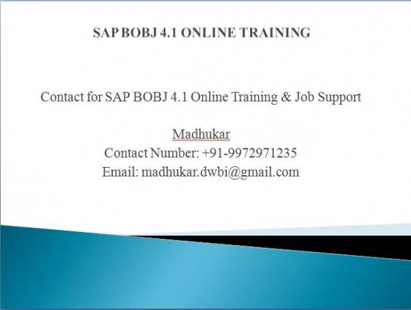 SAP Bobj Training Online training - Bolgatanga, Ghana