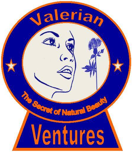Valeran Ventures - Dome, Ghana