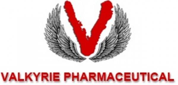 Valkyrie Online - Winneba, Ghana